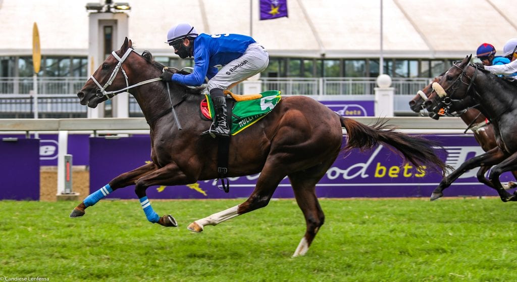 Global Glory, first winner for Red Ray. Image: Candiese Lenferna