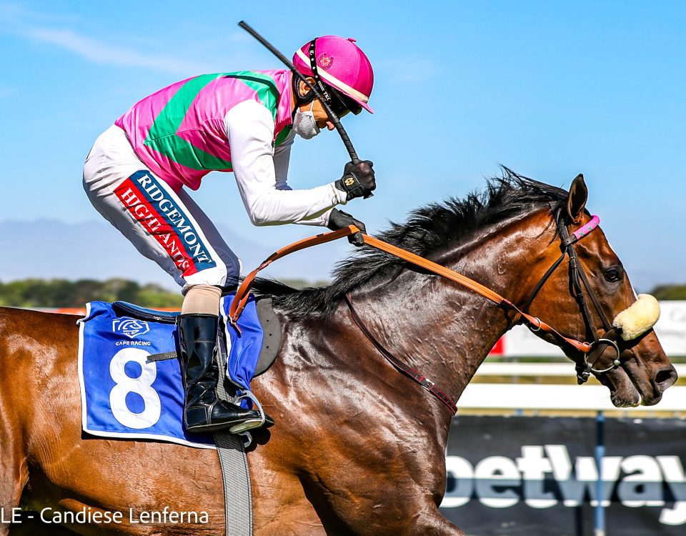 Double Superlative wins the Gr1 Cape Guineas. Image: Candiese Lenferna