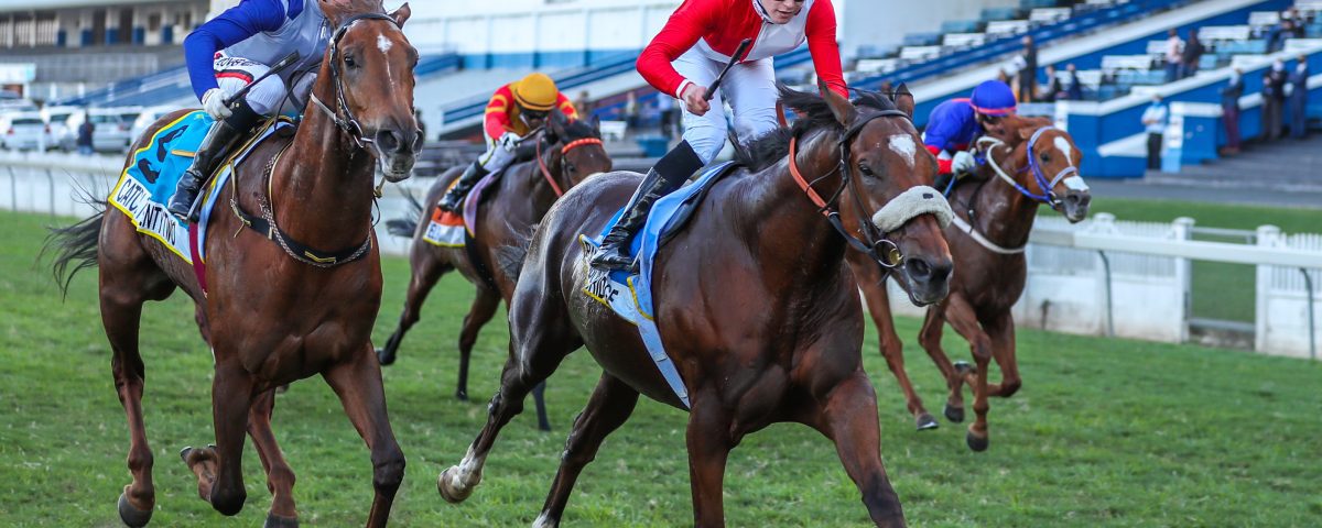 Catch Twentytwo finishing a close second to Rainbow Bridge in the Gr1 Champions Cup. Image: Candiese Lenferna