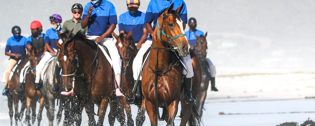 Equus Award winning image from Candiese Lenferna of Captain's Ransom.