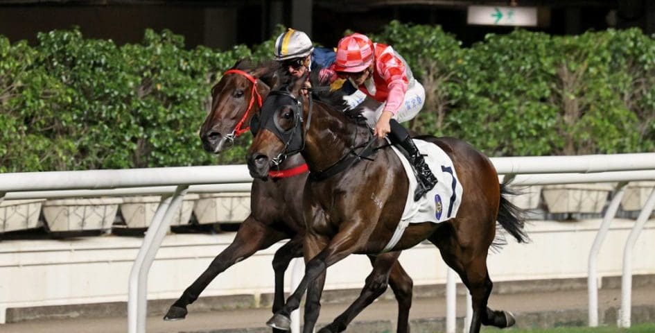 Super Commander. Image: HKJC