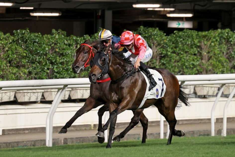 SAF-bred Captures 5th Hong Kong Win - Thoroughbred Breeders Association ...