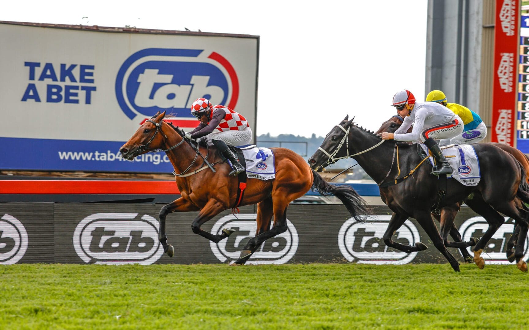 Bush Hill Stud Triple Crown Bid Looks A Reality - Thoroughbred Breeders ...
