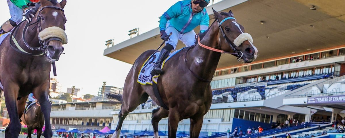 Get Impressed gets up to win with Muzi Yeni aboard. Images: Candiese Lenferna
